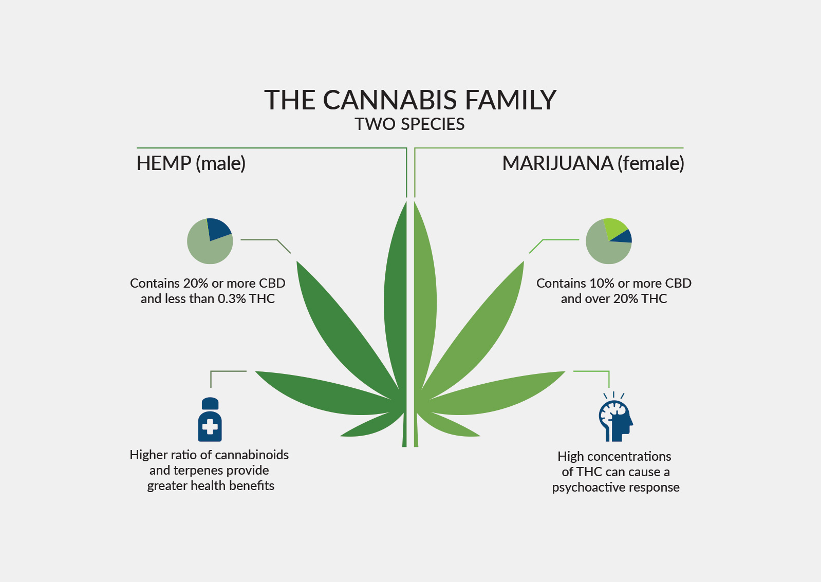 Cannabis y cetosis